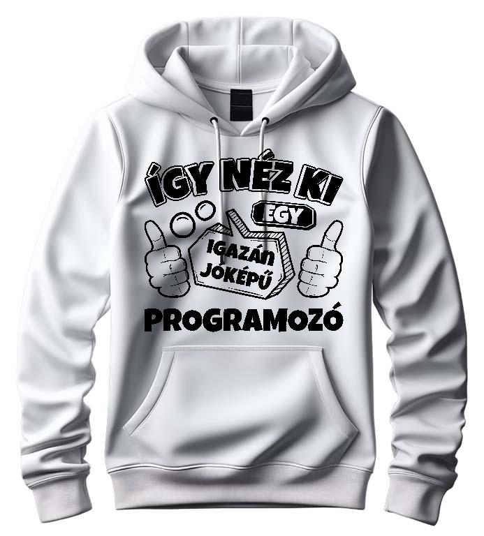 Igazán jóképű Programozó - Programozó Férfi Kapucnis Pulóver